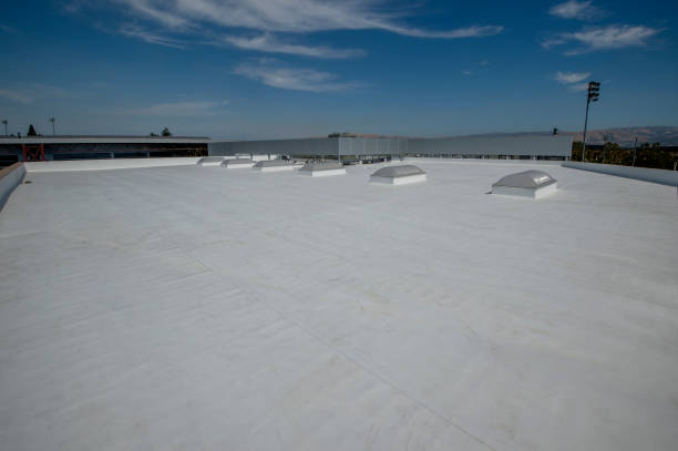 Best Rubber Roofing (EPDM, TPO)  in Wilton, IA