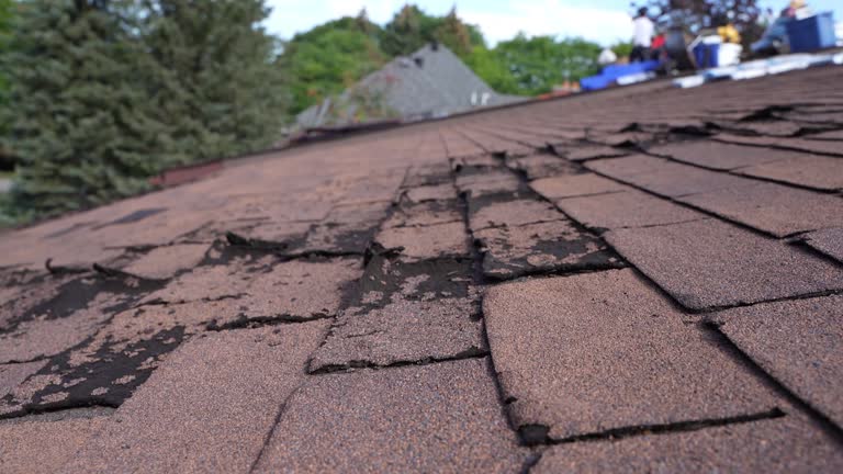 Best Wood Shake Roofing  in Wilton, IA