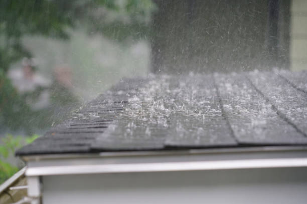 Best Skylight Installation and Repair  in Wilton, IA