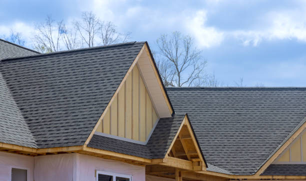 Best Sheet Metal Roofing  in Wilton, IA