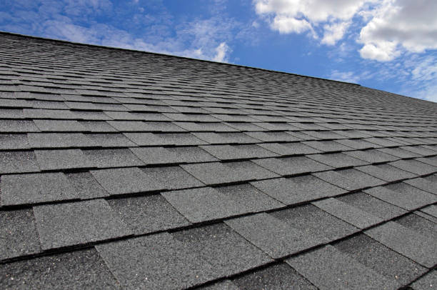 Best Storm Damage Roof Repair  in Wilton, IA