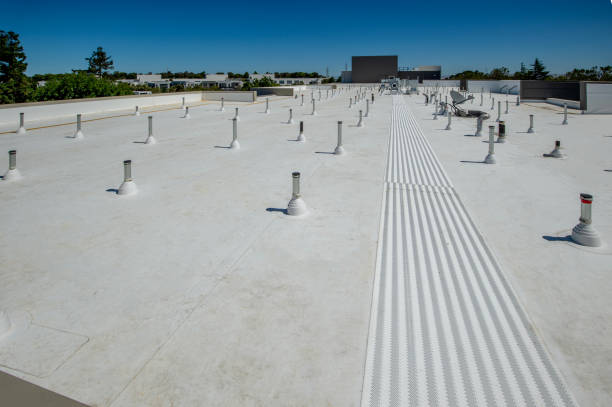 Best Asphalt Shingle Roofing  in Wilton, IA